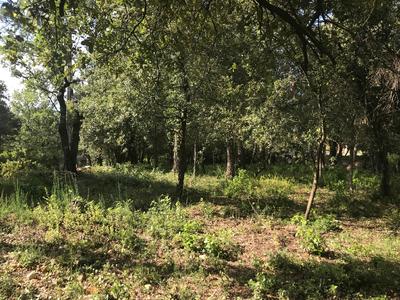 Terrain - 851 m²