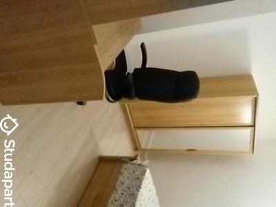 Chambre - 15 m² - 1 pièce