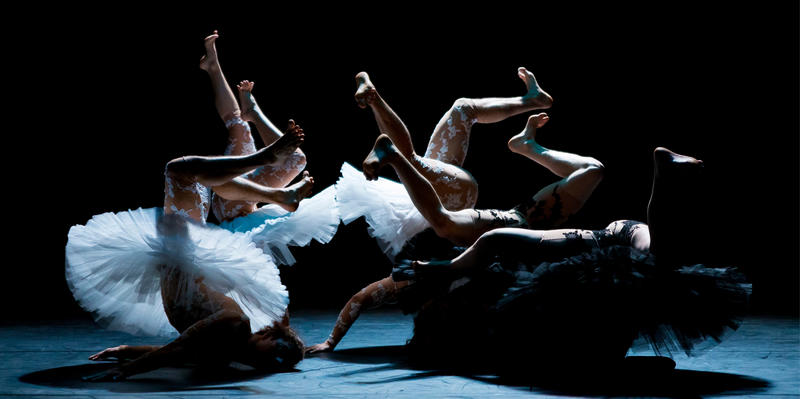 Le Lac des Cygnes Florence Caillon – Compagnie l’Eolienne