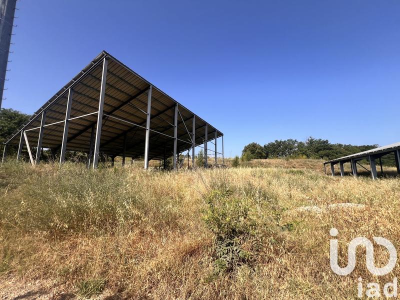 Terrain agricole - 13 006 m²