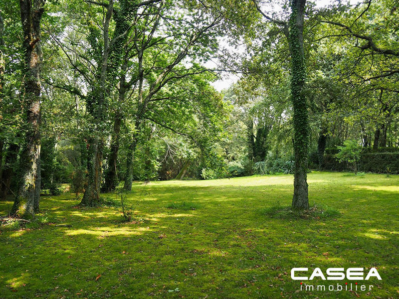 Terrain agricole - 7 694 m²