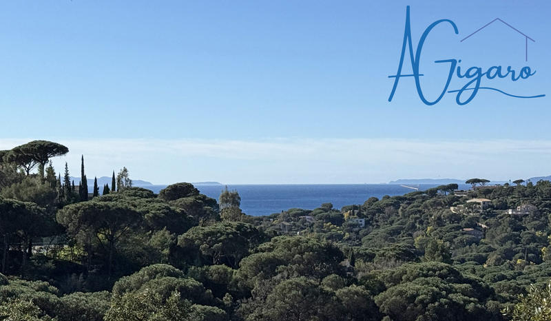 Mas - 49 m² - 2 pièces