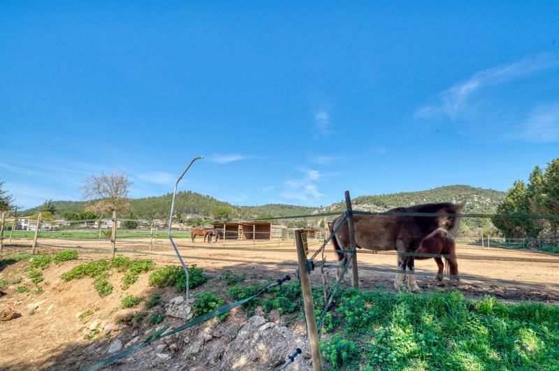 Maison de domaine équestre - 585 m² - 8 pièces