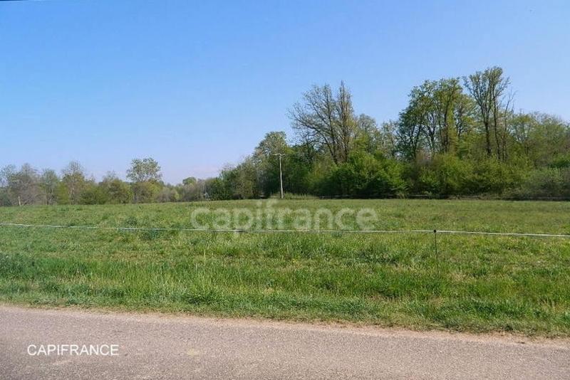 Terrain constructible - 3 684 m²