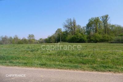 Terrain constructible - 3 684 m²