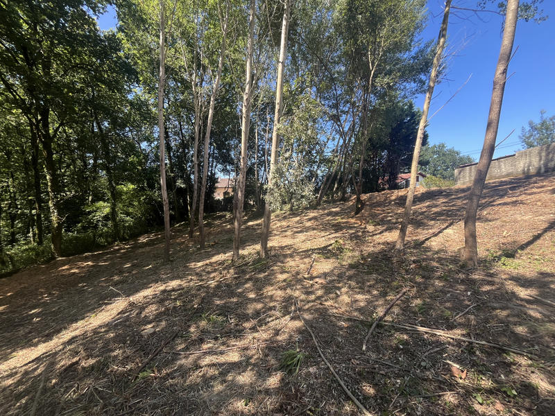 Terrain - 1 245 m²
