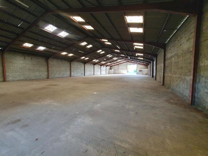 Entrepôt - 1 000 m²