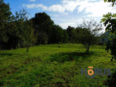 Viager - Maison ancienne - 210 m² - 4 pièces