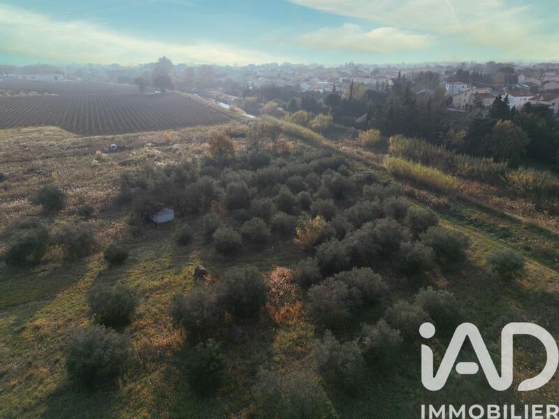 Terrain agricole - 5 801 m²