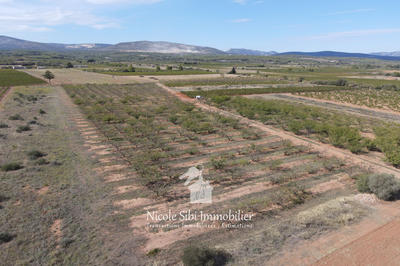 Terrain agricole - 21 895 m²