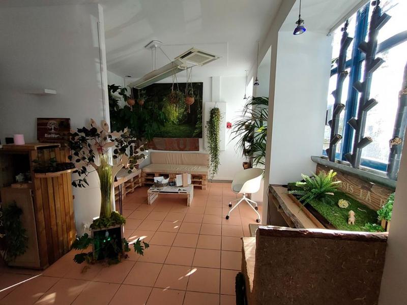 Local commercial - 194 m²