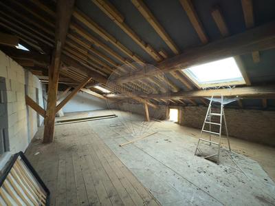 Cave / Box - 309 m²