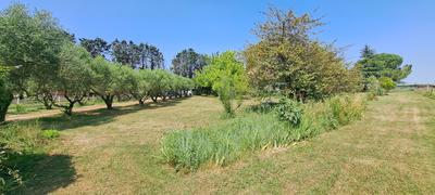 Propriété - 286 m² - 9 pièces