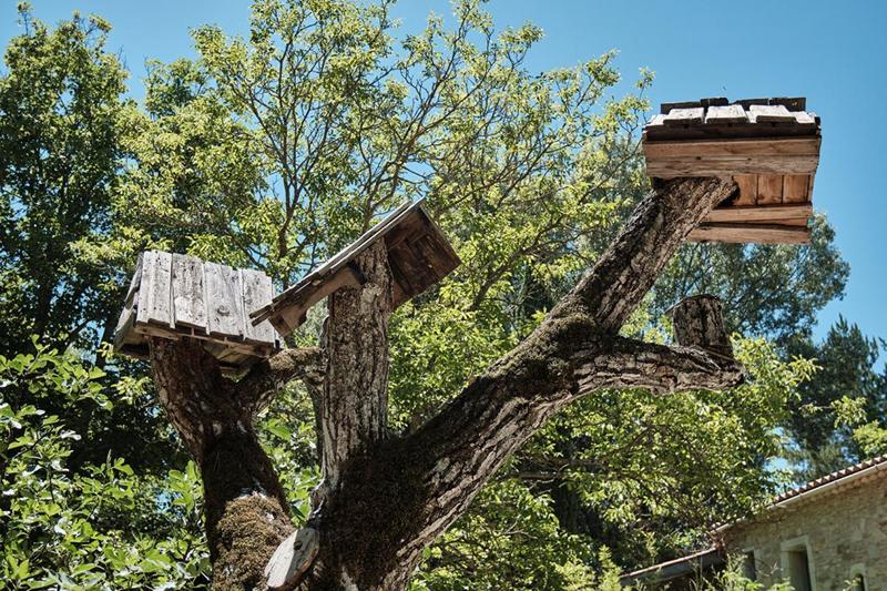 Demeure - 1 073 m² - 37 pièces