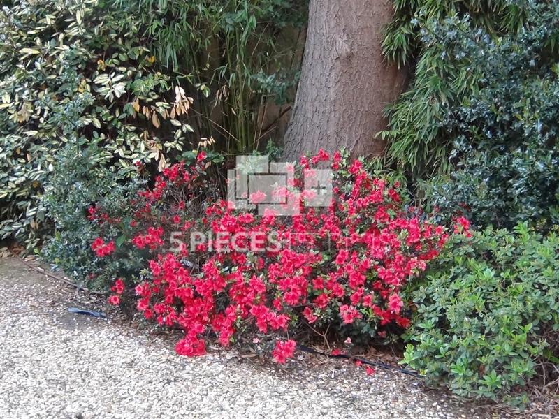 Hôtel particulier - 600 m² - 10 pièces