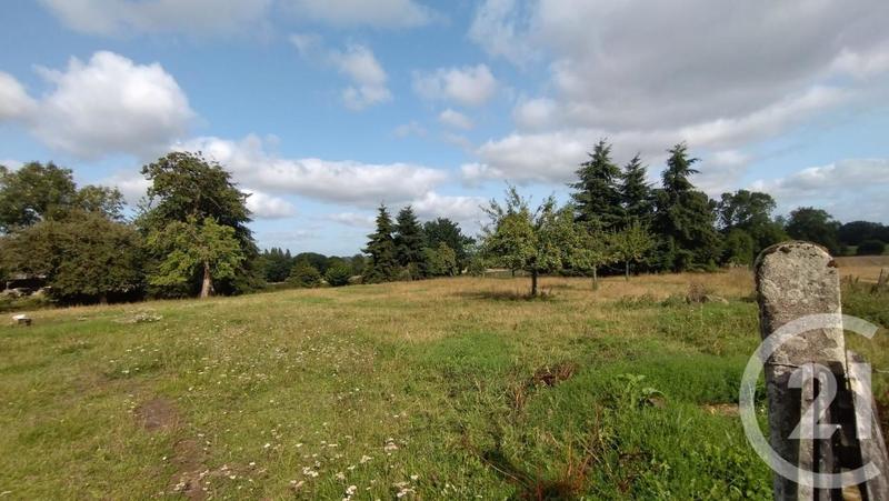 Pavillon - 120 m² - 6 pièces