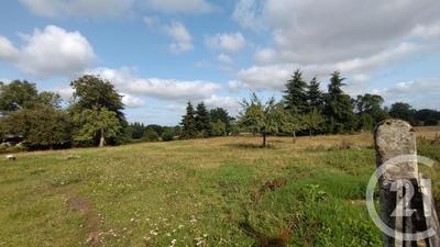 Pavillon - 120 m² - 6 pièces