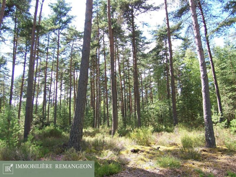 Propriété - 202 m²