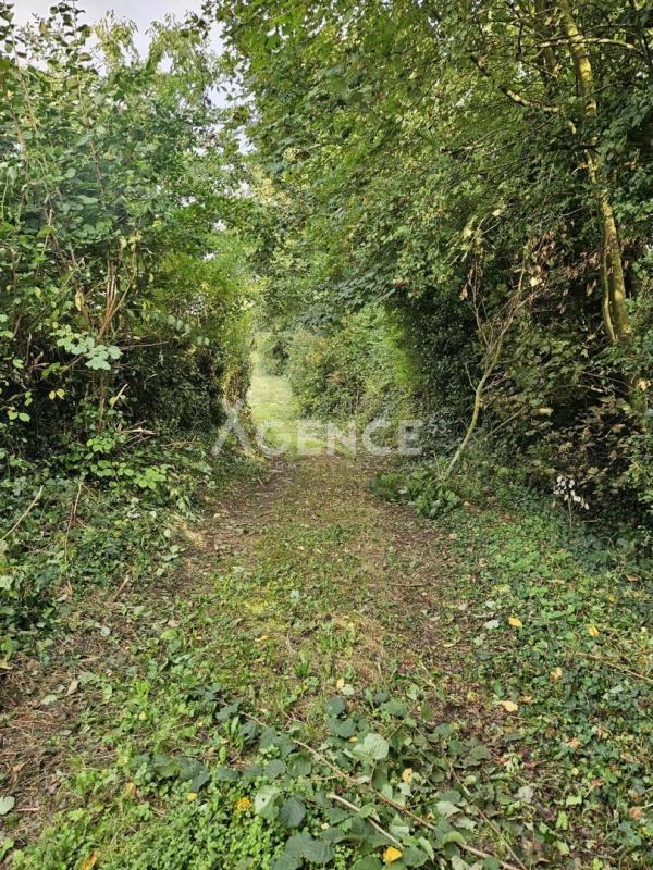 Terrain constructible - 2 855 m²