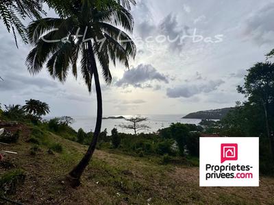 Terrain constructible - 1 326 m²