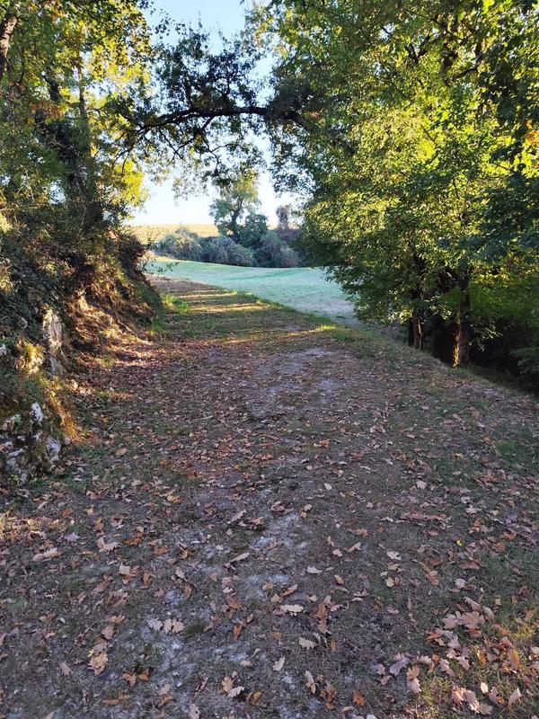 Terrain agricole - 219 900 m²