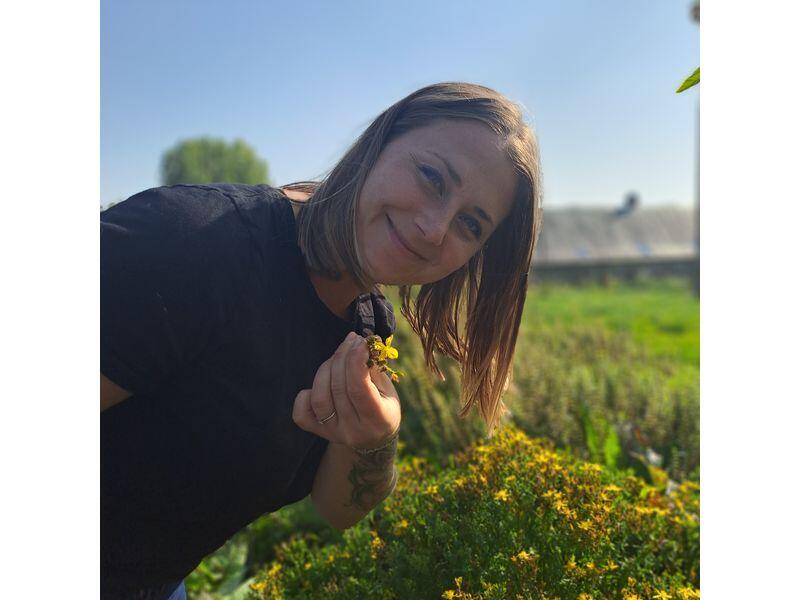 Réalisation d'un macérat