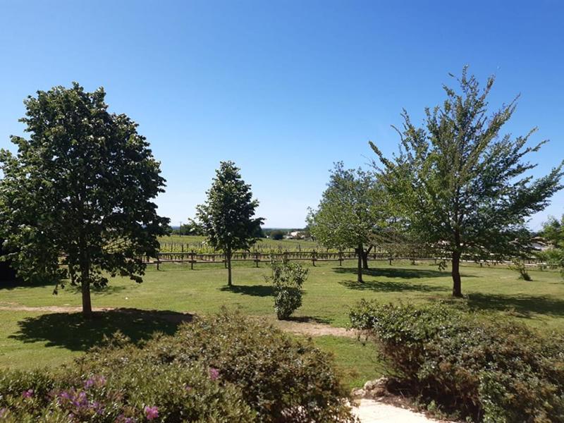 Maison - 364 m² - 9 pièces