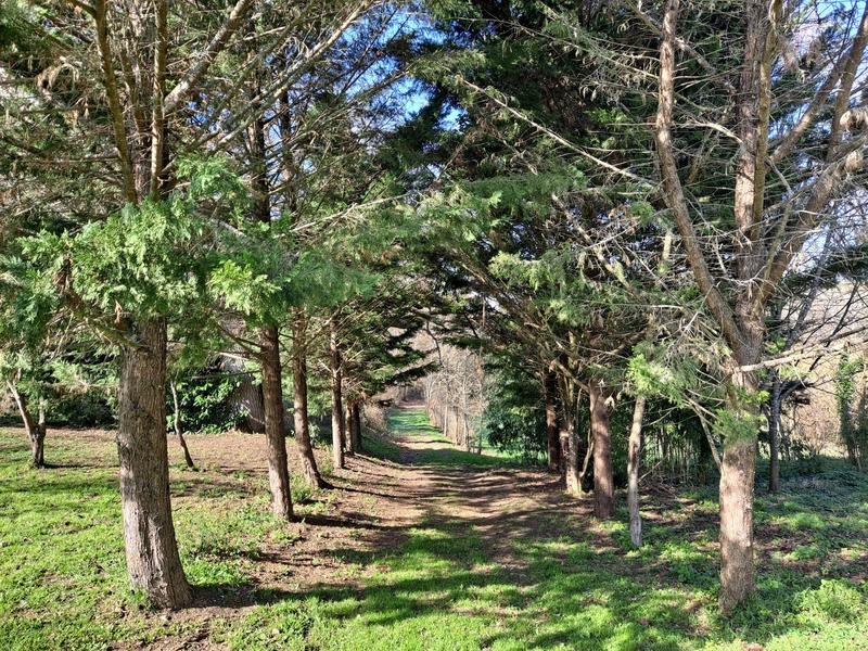 Maison - 390 m² - 10 pièces