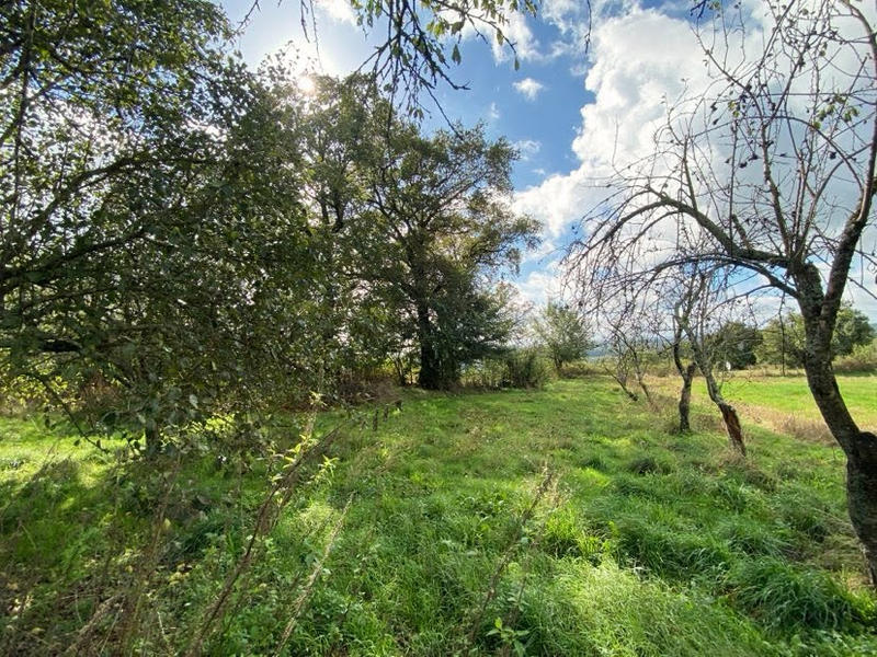 Corps de ferme - 150 m² - 8 pièces