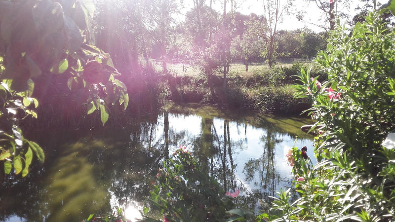 Maison - 220 m² - 9 pièces