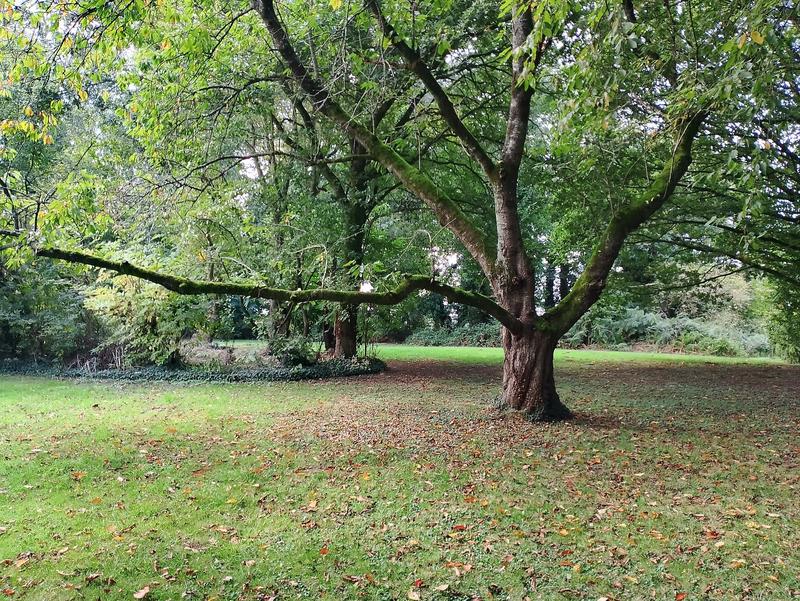 Maison - 199 m² - 5 pièces