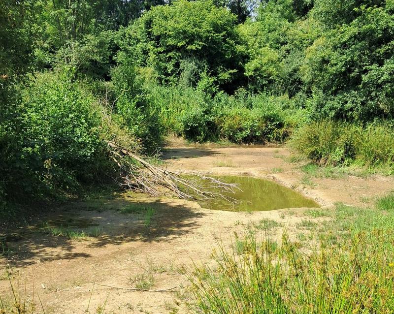 Terrain de loisirs - 1 230 m²