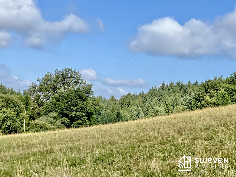 Maison - 116 m² - 5 pièces