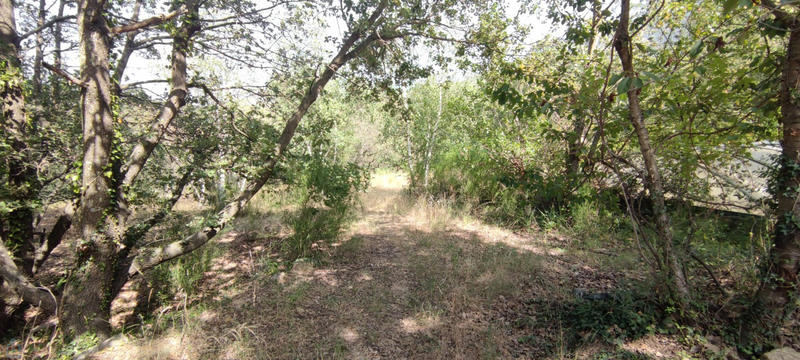 Maison - 188 m² - 12 pièces