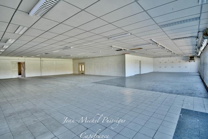 Bureau - 780 m² - 3 pièces