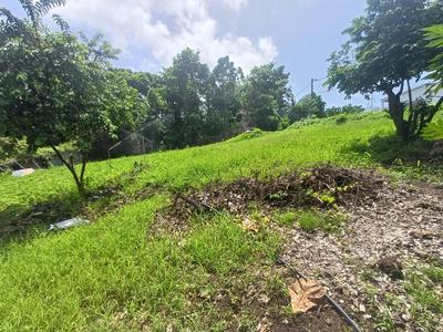 Terrain constructible - 1 000 m²