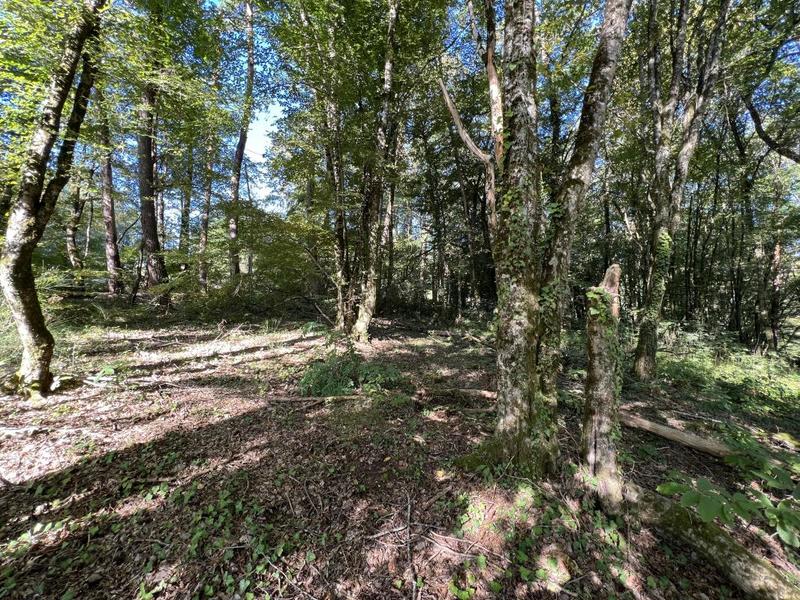 Terrain - 14 696 m²