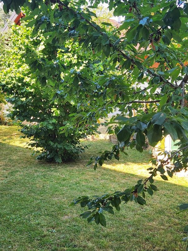 Maison - 261 m² - 11 pièces