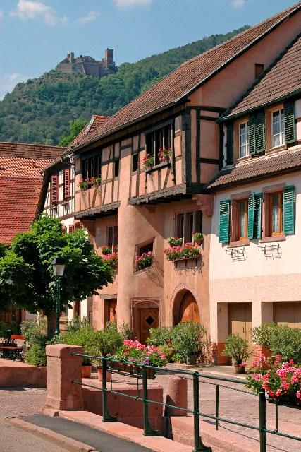 Petit train touristique de Ribeauvillé et Hunawihr