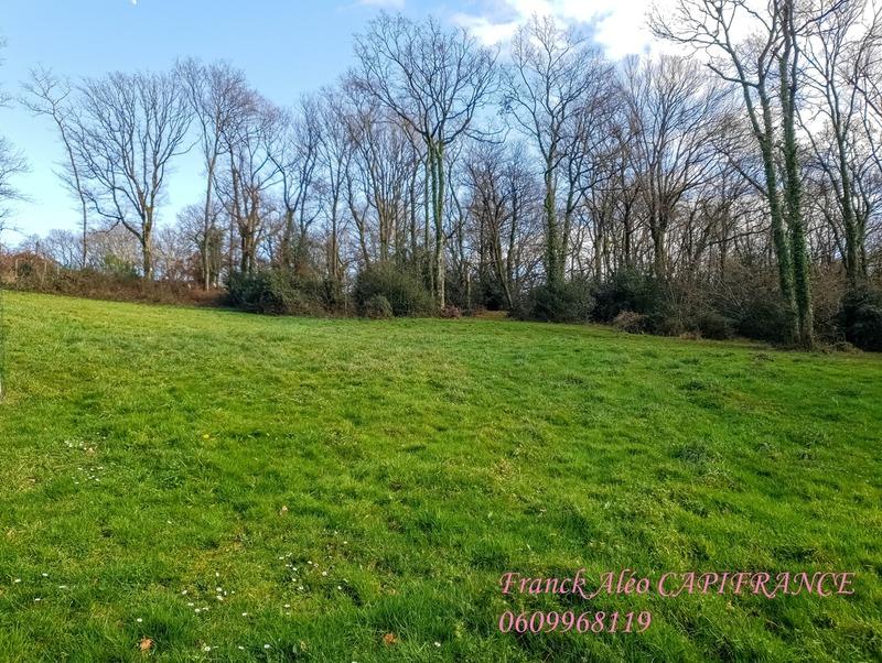 Terrain constructible - 5 000 m²