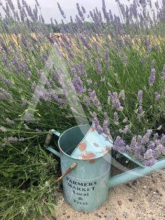 Villa - 211 m² - 6 pièces