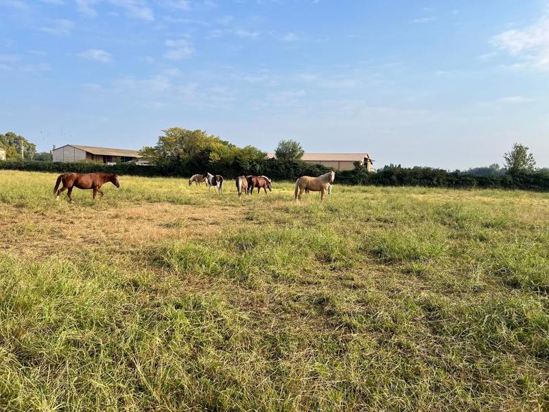 Maison - 189 m² - 5 pièces