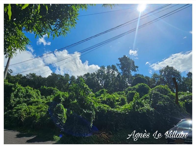 Terrain constructible - 1 041 m²