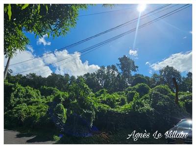 Terrain constructible - 1 041 m²