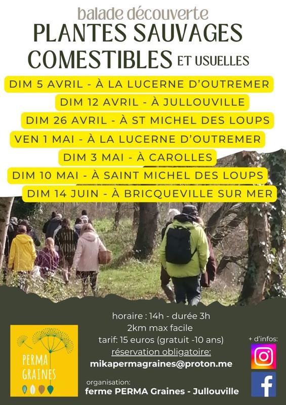 Observations phoques et oiseaux