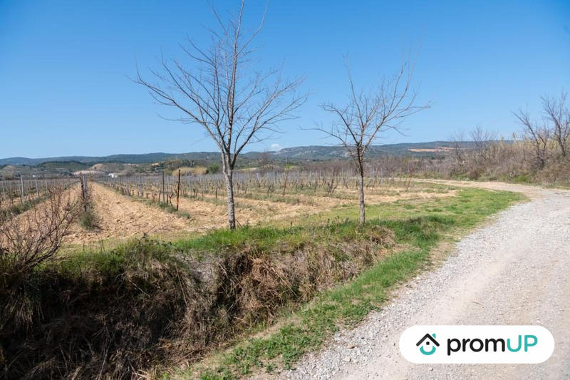 Terrain agricole - 41 115 m²