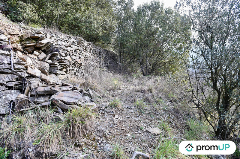 Terrain agricole - 2 780 m²