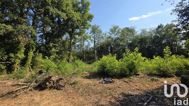 Maison - 196 m² - 8 pièces