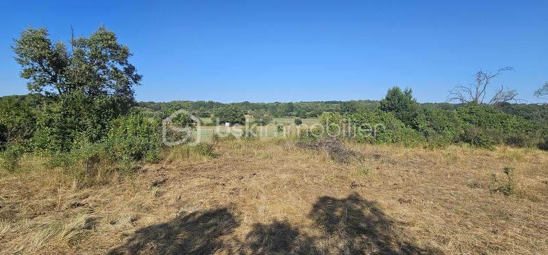 Terrain agricole - 15 401 m²