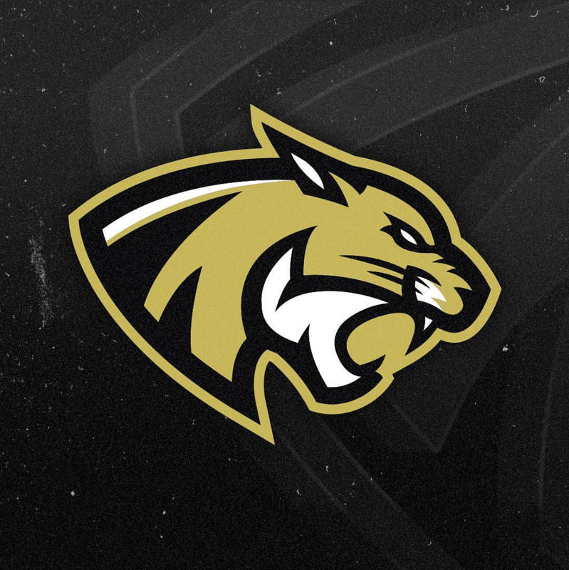 Les Cougars Football